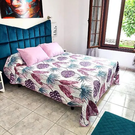 View Garden In Apartment Costa Adeje (Tenerife)